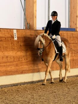 Sportlicher, ausdrucksstarker 4,5-jähriger Haflingerwallach, Josef Fink, Horses For Sale, Schleedorf