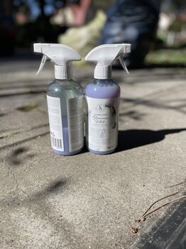 Schimmelspray Showmaster 