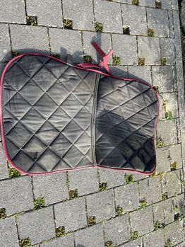 Springschabracke mit Fliegenohren Felix Bühler 
