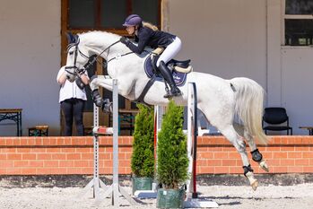 Springlehrmeister auf M-Niveau, Katharina Lehmann (Pferdevermittlung Leus), Pferd kaufen, Irchwitz