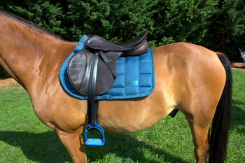 Springsattel Stübben Parzival - dunkelbraun , Sattel , Pferd , reiten, Stübben Parzival, Jule, Springsattel, Aschersleben