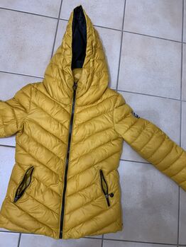 Steppjacke Springstar Gr.S, Springstar, Hanna, Riding Jackets, Coats & Vests, Loissin