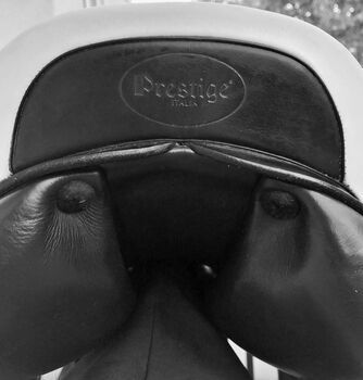 Springsattel Prestige Elastic Professional, Prestige Elastic Professional, Susanne, Jumping Saddle, Mannheim