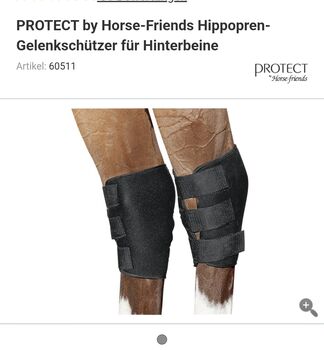 Sprunggelenkschoner grösse WB/L neu, Loesdau , Sandra, Tendon Boots, Oberhausen