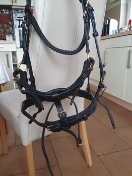 ST Zaum Trense WB, ST Zaum, Stefanie , Bridles & Headstalls, Bedburg