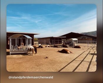 Einstellplätze für Islandpferde in 63599 Biebergemünd