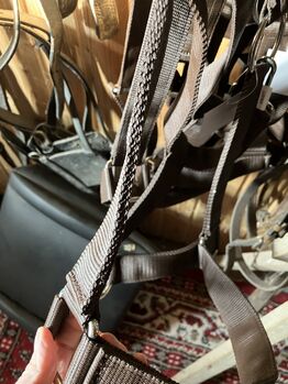 Stallhalfter Kaltblut NEU