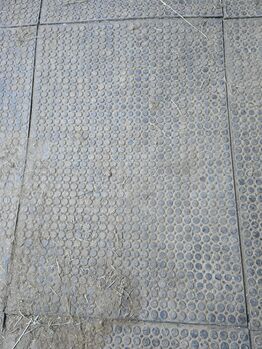 Stallmatten, Nicole, Horse & Stable Mats, Reichertshofen 