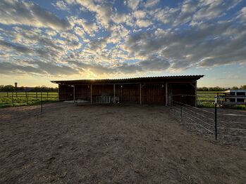 Stallplatz Offenstall, Lisa, Horse Stables, Hochheim am Main
