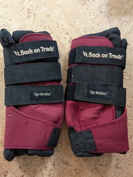 Stallgamaschen Back on track, Back on track , Laura Eckel , Tendon Boots, Bonn