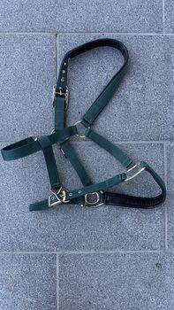 Stallhalfter, Theresa, Halters, Plain