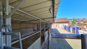 Stall/Unterstand/Offenstall, Yvonne Trappmann , Tack Room & Stable Supplies, Gangelt 