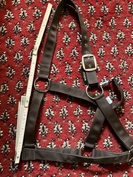 Stallhalfter Kaltblut NEU, Stefanie , Halters, Miesbach