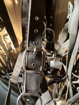 Stallhalfter Kaltblut NEU