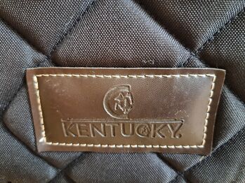 Boxensperre, Boxentürvorhang, Kentucky, schwarz Kentucky