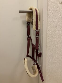 Stall Halfter, Désirée, Halters, Uerzlikon