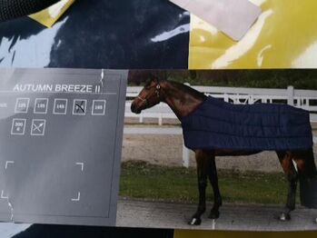 Stalldecke 155 cm (Felix Bühler), Felix Bühler  Autumn Breeze II , Timea , Horse Blankets, Sheets & Coolers, Glaubitz 