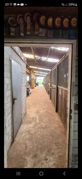 Stallplatz, Boxen frei, Offenstall