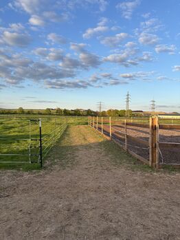 Stallplatz Offenstall