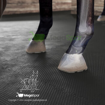 Stallmatten & Pferdematten kaufen | Boxenmatten und Liegematte für den Stallboden, MEGASPAR - Online Shop Stallmatten Preis pro Stück | Gummimatten | Stallboden | Pferdematten, MEGASPAR Online-Shop (MEGASPAR Online-Shop), Horse & Stable Mats, Piła