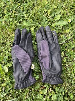 Steeds Reithandschuhe, Steeds, Kimberly, Reithandschuhe, Lohmar