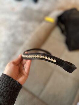 Stirnriemen stark geschwungen, Anfertigung auf Anfrage, Paula Ciaciek, Browbands, Homburg
