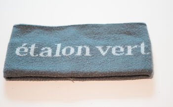 Stirnband Etalon Vert, Etalon Vert Stirnband, N.K., Sonstiges, Schloss Holte 