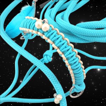 Grosses Set Sidepull Zügel Halsring COB Farbe Aqua