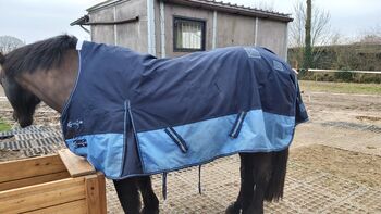 Gr. 135 100gr. Outdoordecke Paddockdecke, Katrin , Horse Blankets, Sheets & Coolers, Tornesch 