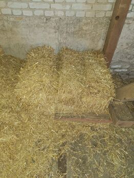 Strohballen ca. 10kg, Wellendorf Marina, Hay & Straw, Grünstadt 