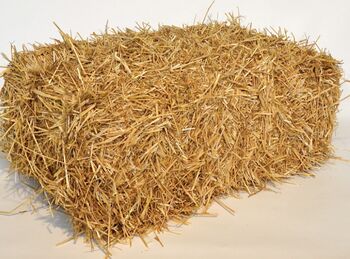 Stroh kleinballen, Matthäus, Hay & Straw, Ottenthal
