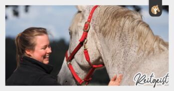 ❤️ Selbstbewusstsein und Selbstvertrauen mit Pferden stärken, Denise Beckmann (Reitgeist - Jutta & Denise Beckmann GbR), Courses & Seminars, Steinfurt