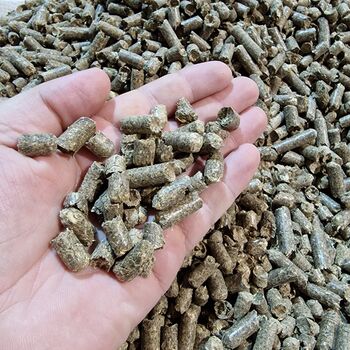 Strohpellets, Einstreupellets, Pellets, Einstreu, J&M Kratzer Strohpellets