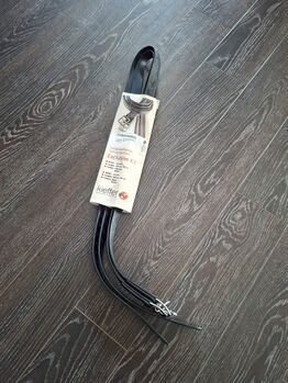 Steigbügelriemen 155 cm und Steigbügel Edelstahl 12cm mit Bügeleinlagen Kieffer, Riderpro