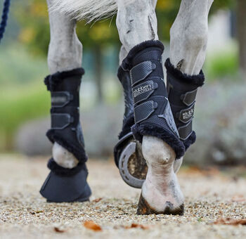Stubben brushing boots M, Stubben Airflow, Fiammetta, Tendon Boots, Trofarello