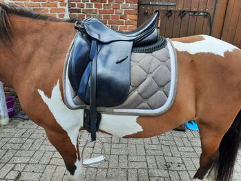 Stübben Avalon Dressursattel 17,5", Stübben Avalon, Müller , Dressage Saddle, Oldenburg 