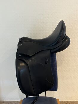 Stübben Dressursattel Euphoria, Stübben Euphoria, Kathrin, Dressage Saddle, Selm