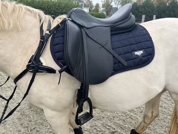 Stübben  dressage saddle maestro deluxe, Stübben Maestro de luxe, Zoe Splinter, Dressursattel, Hoorn