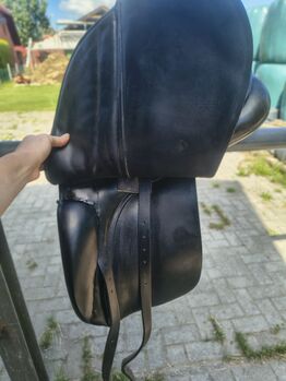 Stübben Dressursattel Stübben  Scandica