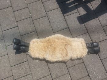 Stübben Equisoft Kurzgurt 70cm mit Lammfell Stübben  Equisoft