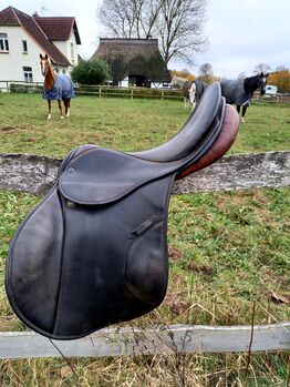 Stübben Springsattel, Stübben Romanus, Annalena , Jumping Saddle, Biendorf 