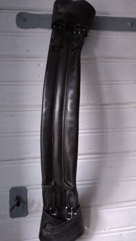 Stübben Leder Kurzgurt 60cm, Stübben, Eva, Girths & Cinches, Guntersblum 