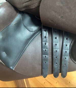 Stübben Phoenix Elite Springsattel 17 30 neuwertig Stübben Phoenix Elite