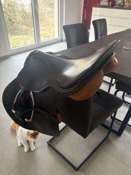 Stübben Siegfried Springsattel, Julia, Jumping Saddle, Stammham 