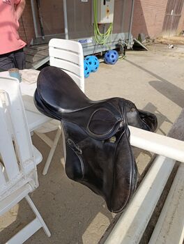 Stübben Springsattel, Stübben  Scandica, Barbara, Jumping Saddle, Goch