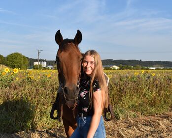 Suche Pferd, Carina Hochleiter, Pferd kaufen, Erolzheim