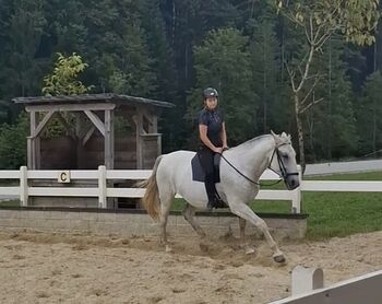 Suche Reitbeteiligung 2x/Woche Raum Linz, Franziska Arbeithuber, Horse Sharing, Lichtenberg