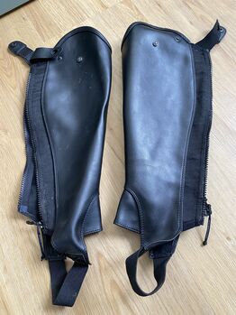 Suedwind Chaps SW, Suedwind , Jenny, Half Chaps, Mülsen Ortmannsdorf, Ortmannsdorf