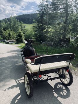 Sulky Shetty, SAWA, Michelle  Schürer, Carriages, Grünhain-Beierfeld