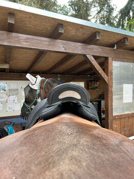 Sommer Passion Dressur Sommer Passion